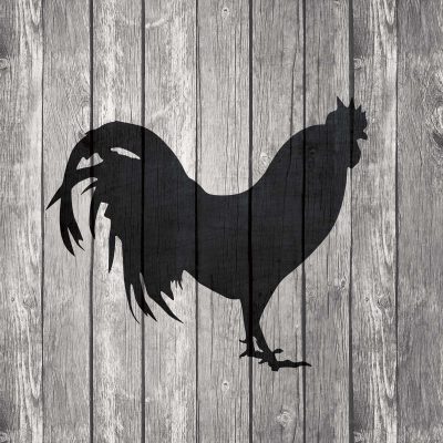 Barn Rooster