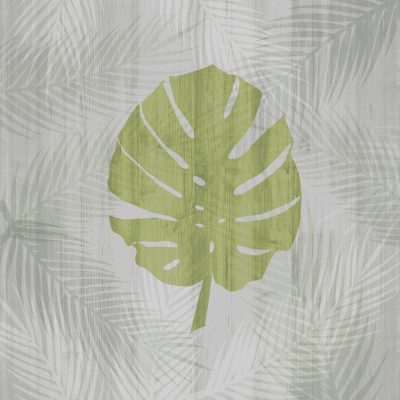 Palm Leaf