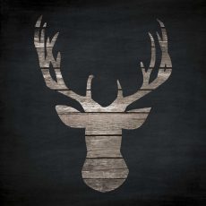 Urban Antlers I