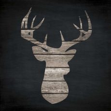 Urban Antlers II