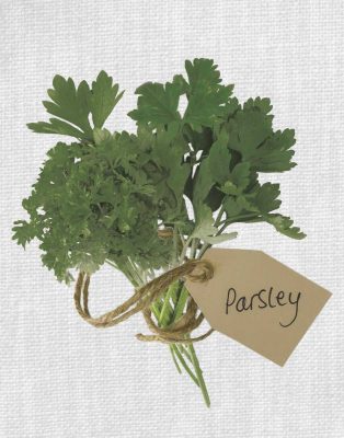 Parsley