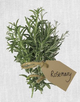 Rosemary