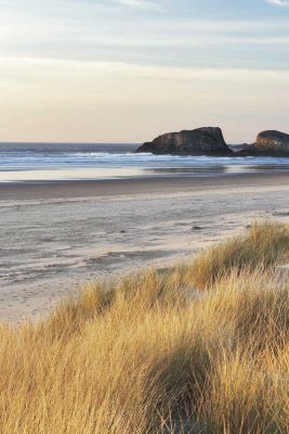 Dune Grass & Beach I