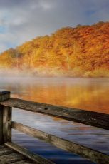 Dancing Fog at the Lake