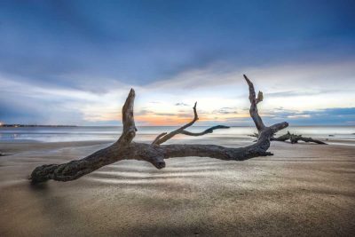 Bones Beach