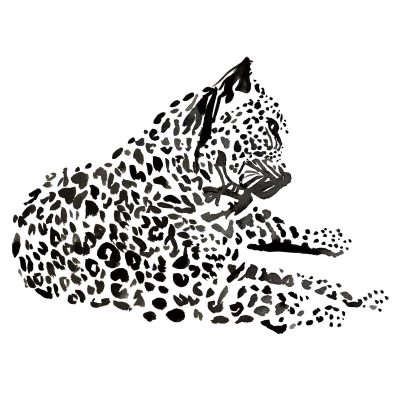 Cheetah