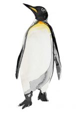 Penguin I