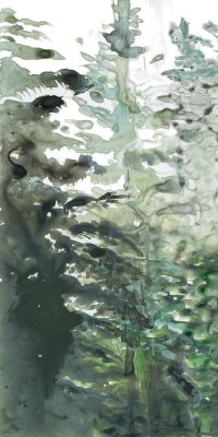 Green Forest I