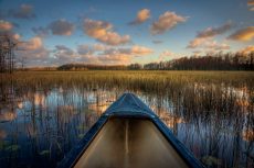 Canoeing on the River