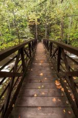 Autumn's Bridge