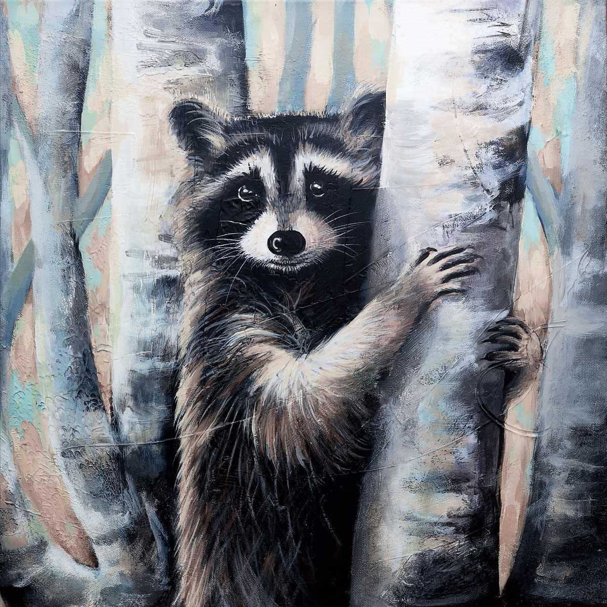 Raccoon