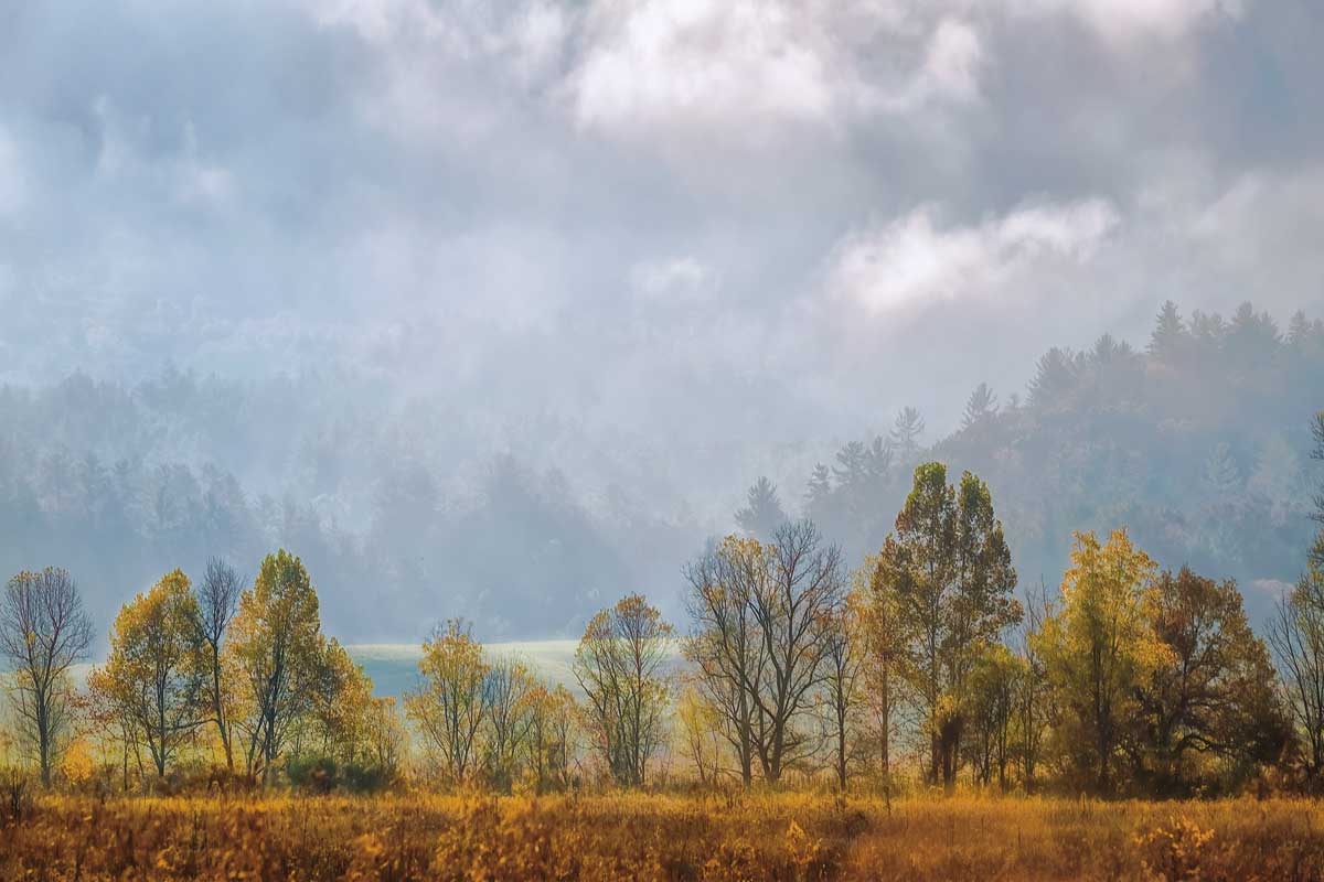 Lifting Fog