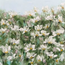 Daisy Field