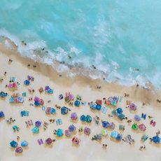 Bird's Eye Umbrellas