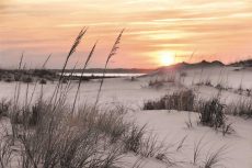 Seashore Sunset