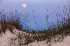 Seashore Moonrise