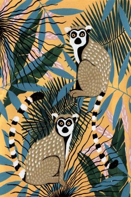 Lemurs