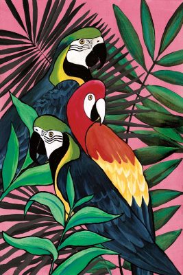 Jungle Parrots