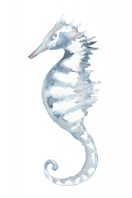 Beach Sea Horse