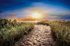 Dune Trail in Sunrise