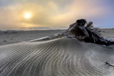 Sand Wrinkles